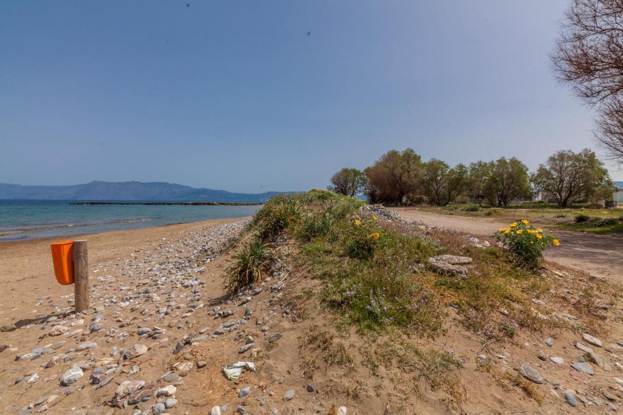 Kissamos Sea View Beach Apartments Buitenkant foto